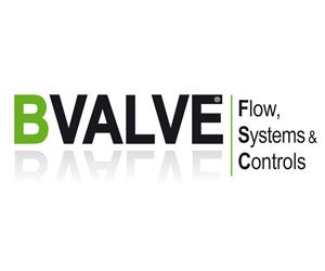 BVALVE Flow, Systems & Control