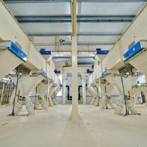 CINCAPORC_FRAGA_22_089