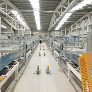 Productos-comerciales