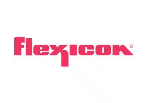 logo_flexicon